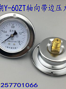 天湖Y-60ZT轴向带边压力表 真空表 气压水压表0-1  1.6  2.5MPA