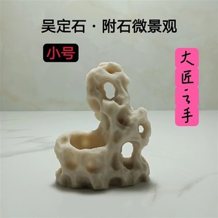 吴定石吸水石上水石捕虫堇菖蒲苔藓盆附石盆假山石雕绿植观赏摆件