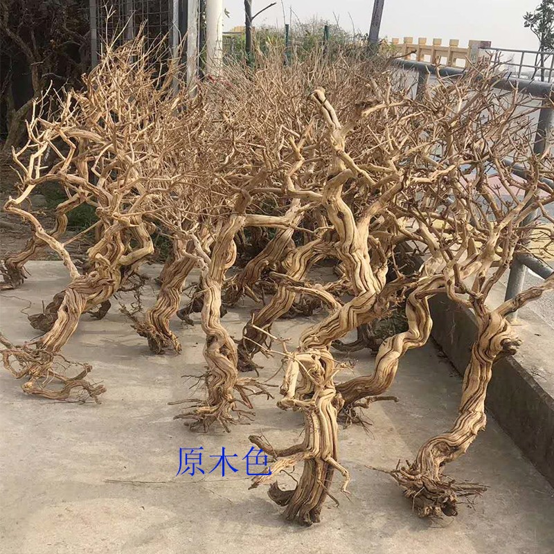 树枝装饰干枝干树枝干树干造型树原木金银花枯树木定制
