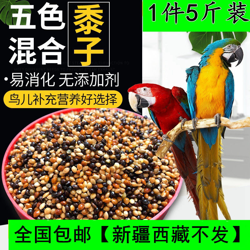 玄凤鸟粮鸟食带壳谷子5斤虎皮牡丹鹦鹉饲料专用营养繁殖补钙鸟粮