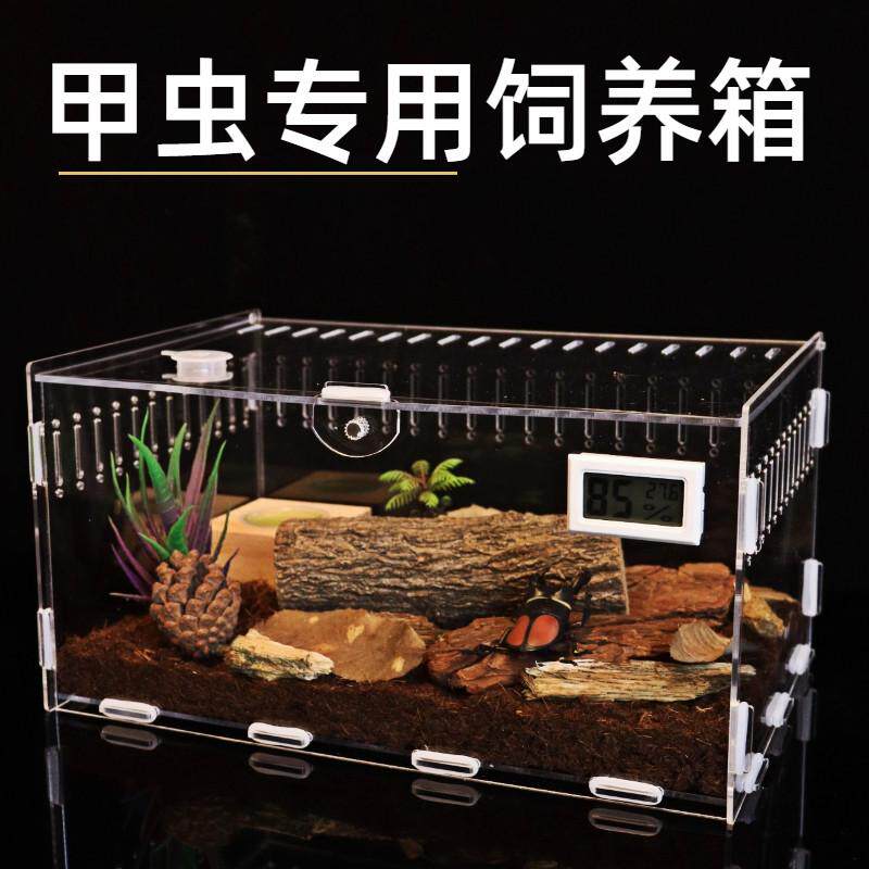 独角仙饲养盒套餐亚克力昆虫蜗牛蜘蛛爬宠锹甲虫饲养盒箱幼虫