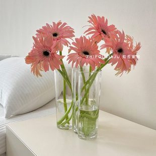 湖泊花瓶高级感水培绿植客厅餐桌摆件透明玻璃鲜花插花瓶不规则