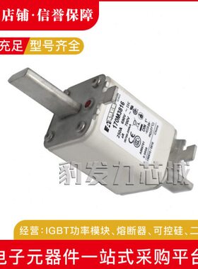 170M3921 170M3922 170M3923 170M3924 170M3925全新熔断器现货