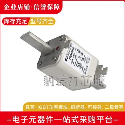 170M3921 170M3922 170M3923 170M3924 170M3925全新熔断器现货