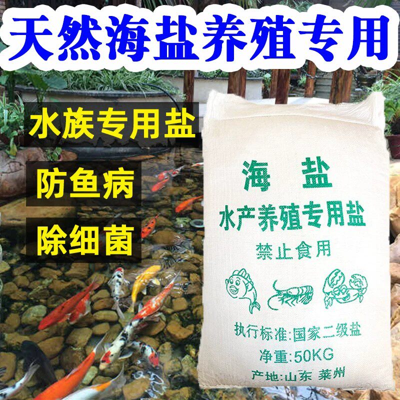 海盐锦鲤池养鱼池鱼缸鱼塘水产