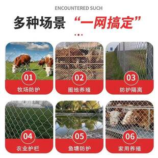圈地养殖勾网宠花笼子菱形镀物锌钢丝网公路路动物园围铁BTO栏护