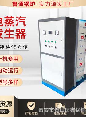 蒸电米加热小型蒸汽锅CLSG炉蒸饭豆腐头馒汽发生器