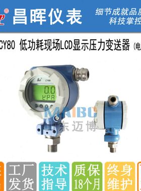 昌晖仪表SWP-LCD-CY80-EX-00 02-R G-A-12 LCD现场压力变送控制器