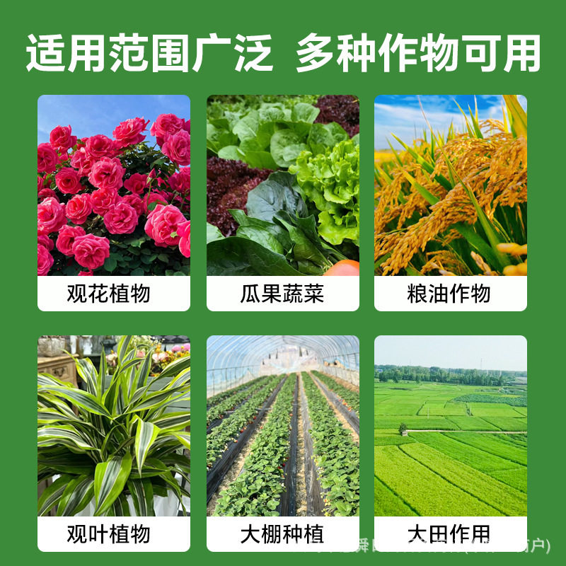 【下单立减50】叶面肥壮根提苗增绿通用中量元素水溶肥速绿_120gj