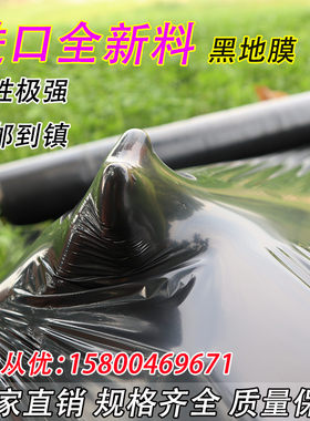 黑地膜除草膜农用加厚塑料薄膜黑膜保温保湿蔬菜大棚果园银黑双色