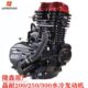 隆鑫原厂重载三轮车晶耐200 300A水冷发动机总成坚固耐用机头 250