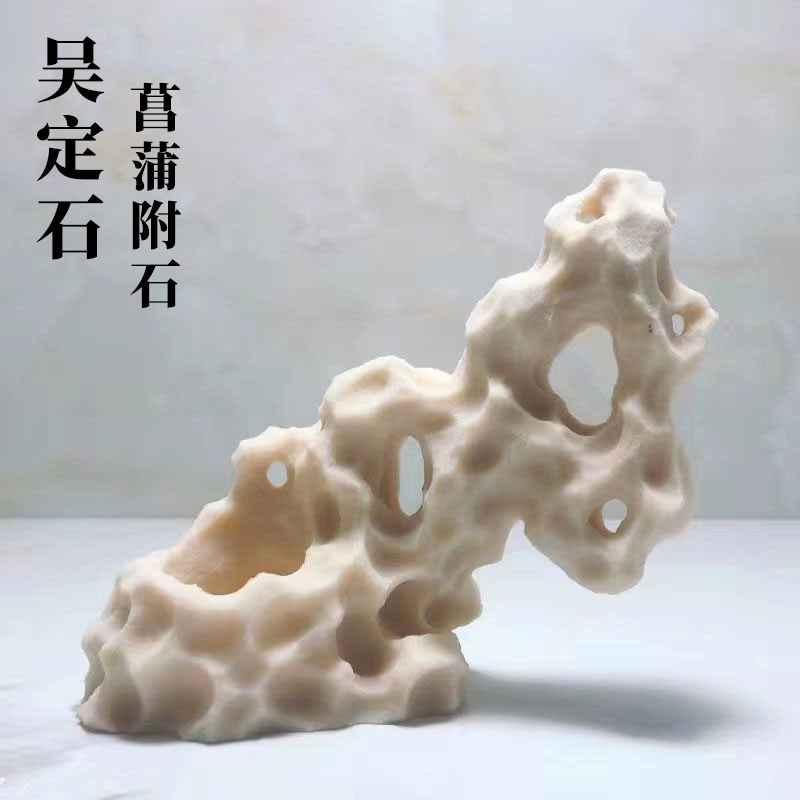 台湾吴定石上水石吸水石金钱菖蒲盆附石假山石捕虫堇盆景绿植摆件