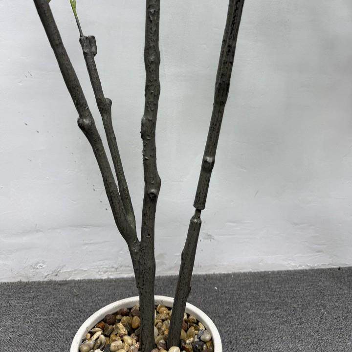 仿真三岔橄树人造绿植饰仿真树庭景院造装详询客服饰仿榄真模型摄