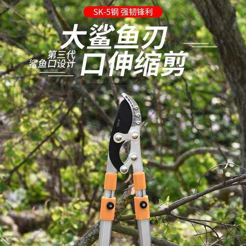 修TGG林树枝剪刀粗枝伸缩园艺剪刀多能园剪刀果树粗园林枝功剪高