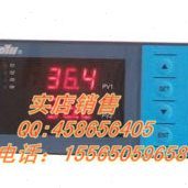 东辉仪表:DY2000(E/GE)双输入控制光柱显示仪DY21E0022