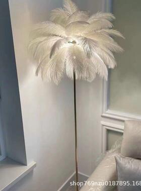 羽毛落地灯北欧i毛n少32541s女网红鸵鸟客厅卧床头灯茶室几立式氛