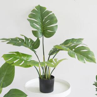 工厂现货多款真绿植盆仿栽背竹龟棕树旅人蕉橄榄树FZS-7zls假盆栽