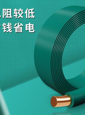 广州南洋电电缆B硬V1.5102/2.5/46/10平方国标线家装电线/BV线单