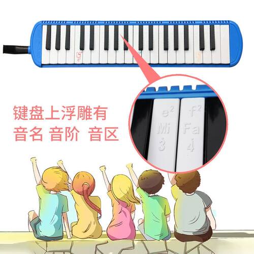 DHS牌牌生2键37 幼儿园小学3中学生口风琴键  初学教学口吹琴