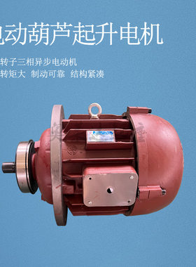 ZDS双速电机10T起重机电动葫芦电机 ZDS1 1.5/13KW子母电机