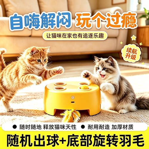 懒人养猫必备｜消耗精力不拆家