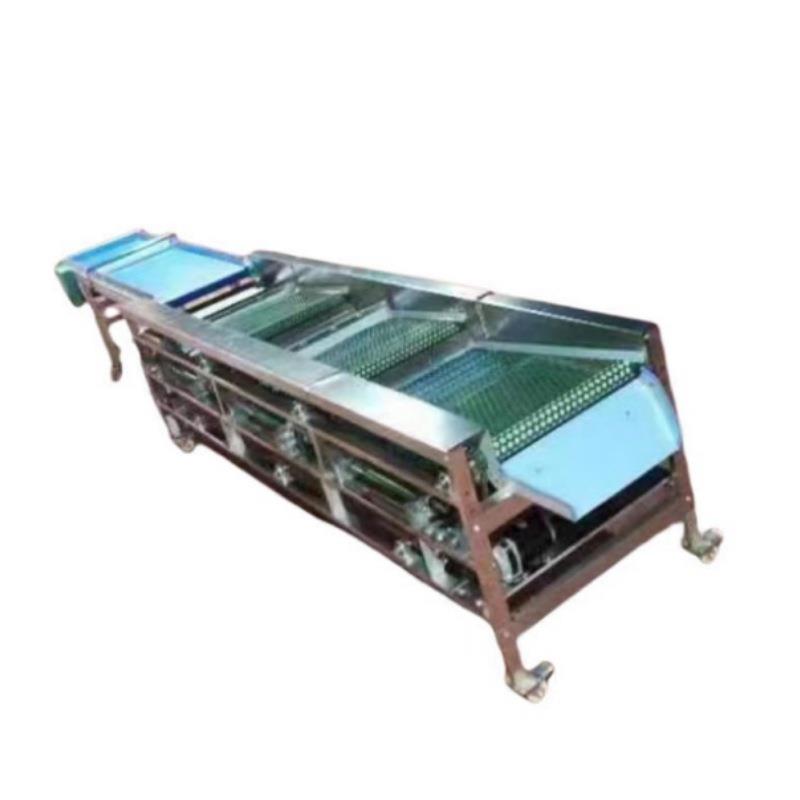 水果分选机器孔带式蓝莓分级机分选机香菇分选机西红柿选果机