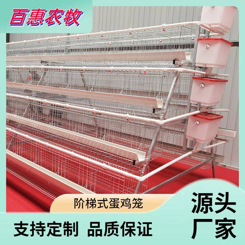 热镀锌多层阶梯式笼养鸡设备养殖场用层叠式四层四门蛋鸡笼设备