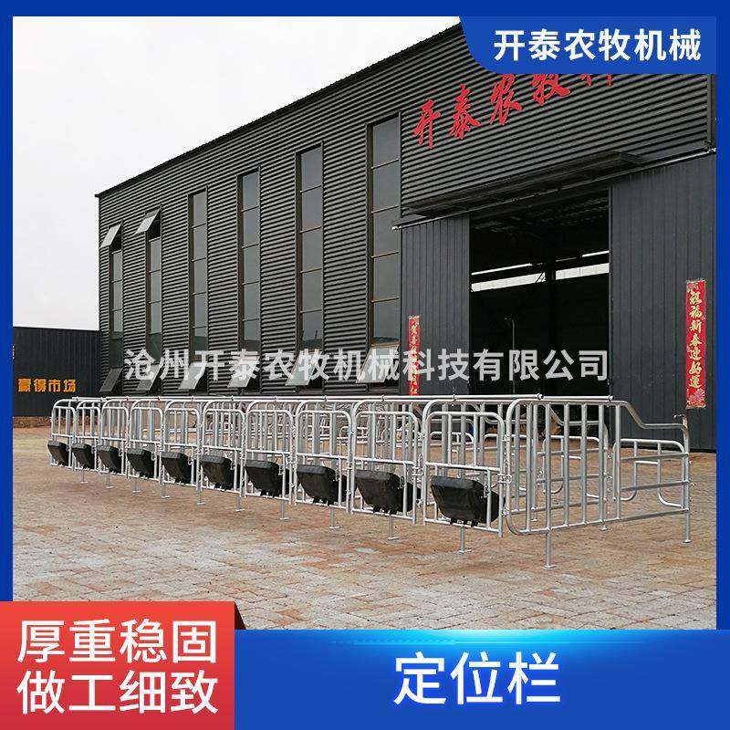 现货落地式猪用定位栏加重欧式限位栏养猪场母猪隔离栏定位栏