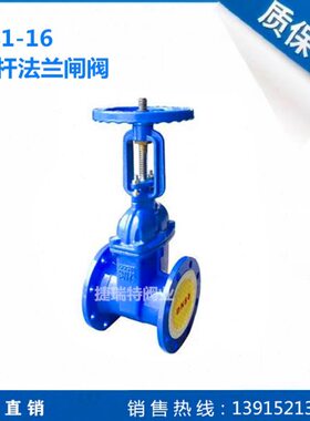 RRHX-16/Z41X-16明杆弹性座封闸阀DN100 DN125 DN150 DN200 DN300