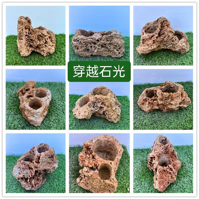 吸水石上水石小盆景石头自吸水花盆D菖蒲石斛蕨类文竹小植物创意