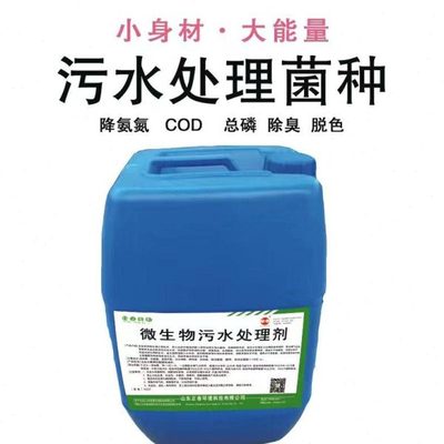 微生物污水处理剂好氧厌氧池生物膜活性污泥菌种医院生活废水处理