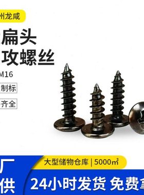 TA黑镍加硬大扁头自攻伞头自攻螺丝钉电子电器小螺丝M4