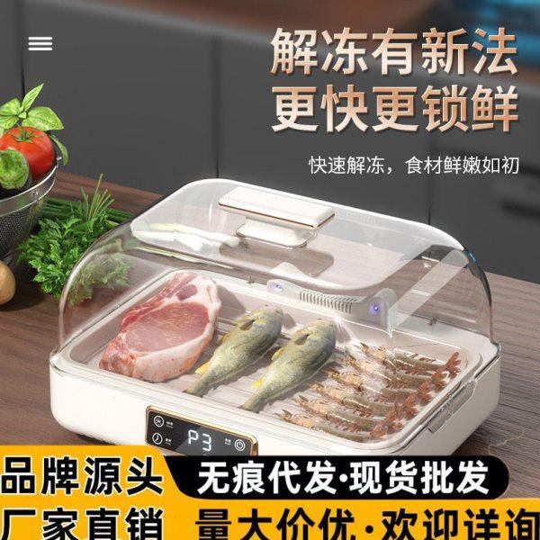 德国解冻神器家用快速保鲜冻肉牛排导热板急速智能恒温食物解冻器,厨房/烹饪用具,导热盘/解冻盘,淘宝优惠券,粉丝福利购,淘宝优惠卷