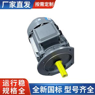 厂家供应160L-218.5W电机三相交流大功率永磁同步电动机马达