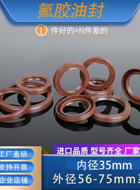 GB/T13871唇形密封圈FBTC型旋转氟胶骨架油封内径35mm外径56-75mm