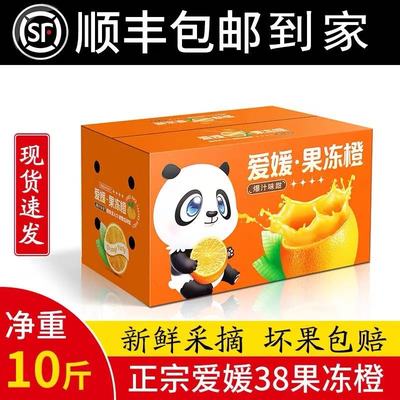 正宗四川爱媛38号果冻橙红美人