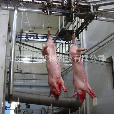 全动毛猪VTL自生猪打毛机设备分割车道间排酸间猪轨线猪宰屠流水