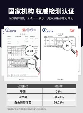 负离子空气净化器用家小型除除甲醛室内烟味卫生间88103异臭宠味