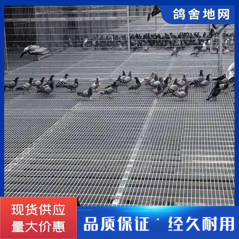 鸽舍地网镀锌养殖网格栅笼公棚专用扁铁网片耐压阻燃抗老化地网