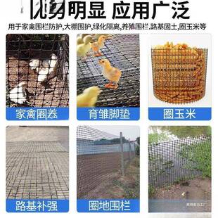 养鸡鸭鹅养栏护网绿网塑种菜鸡圈窝ICV围围栏鸡棚围鸭子网养殖胶