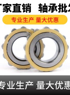 摆线针减速机 双 偏心轴承 RN205M RN204M RN206M 502205 502206