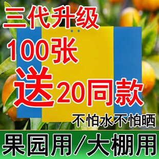 双面粘虫板黄果诱虫板果园大棚防虫板板贴针蜂诱捕器蓟马蝇蓝板