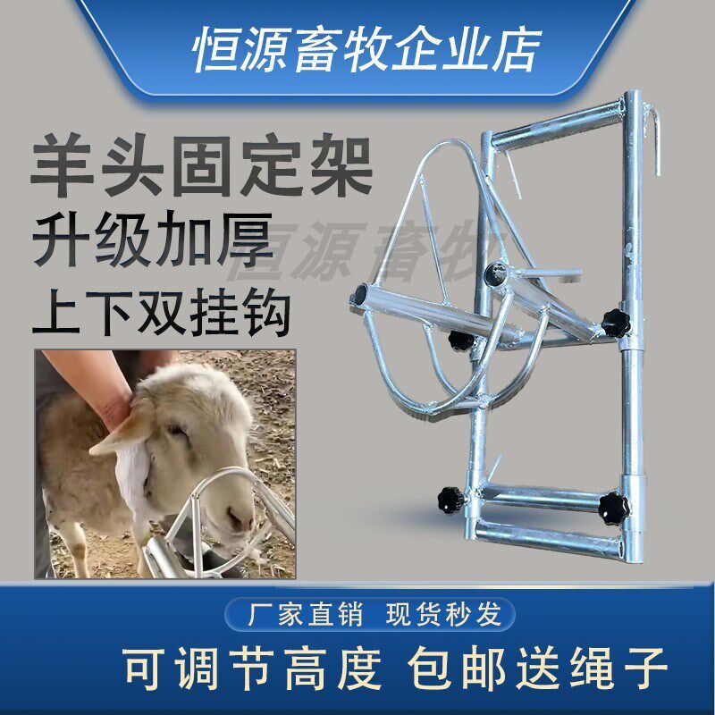 剪羊毛固定架升降羊头架子羊用保定架配种喂药修蹄绵羊笼头固定器