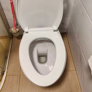 便坐圈老式盖板盖子U型加厚马桶盖家用通用配件V型座马桶圈坐便器