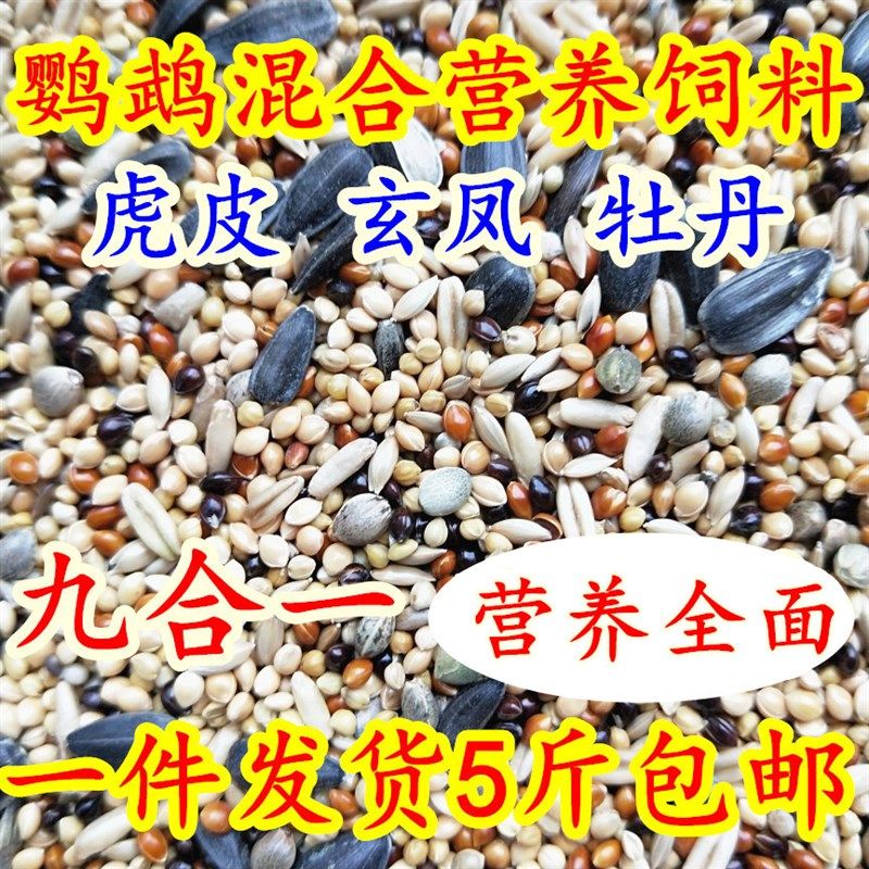 鹦鹉鸟食牡丹玄凤虎皮玄风爱情鸟鸟食鸡尾鹦鹉饲料五斤包邮