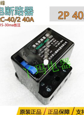 萧山耀峰 AB62C-40/2 40A  电子式漏电断路器 漏电断路器 现货