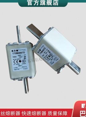 170M4863D 4864D 4865D 4866D 4867D 巴斯曼快速熔断器保险丝