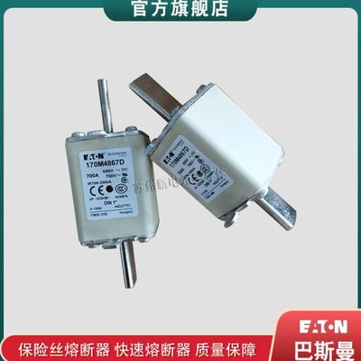 170M4863D 4864D 4865D 4866D 4867D 巴斯曼快速熔断器保险丝
