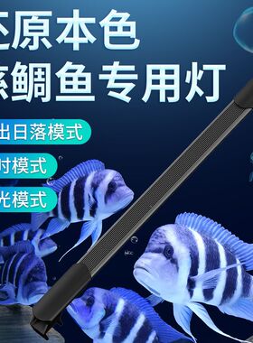 三湖慈鲷灯日出鲷落慈日蓝白灯专缸led灯防水水族灯慈鲷鱼用灯