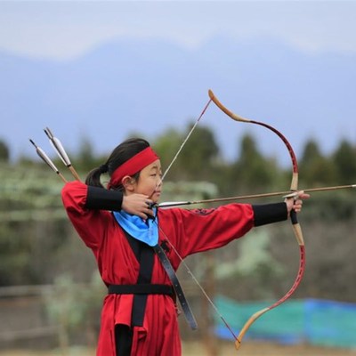 阿利弓箭短款传统弓专业传统反曲弓竞技比赛玻片弓美猎
